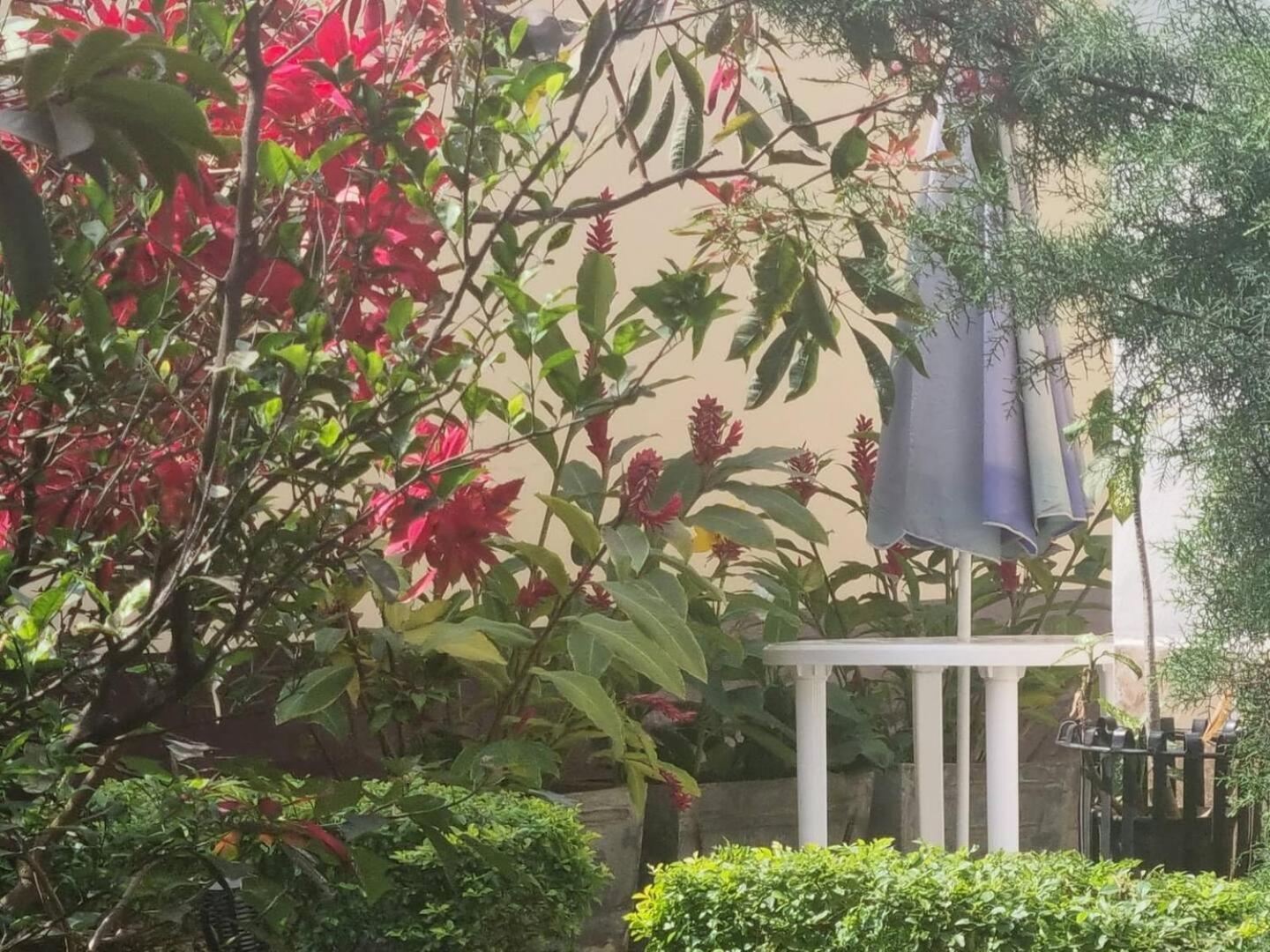 Tout Confort Avec Jardin Entree Bastos 야운데 외부 사진